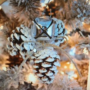 Meet your Posher, Alesha