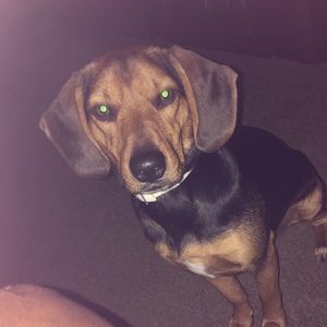 Meet your Posher, Nashay