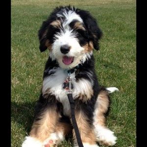 Meet your Posher, Debbie