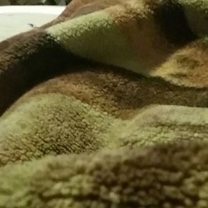 Meet your Posher, Isabella