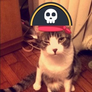 Meet your Posher, Alyson