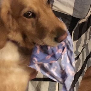 Meet your Posher, Pattie