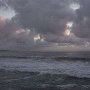 Meet your Posher, Nell