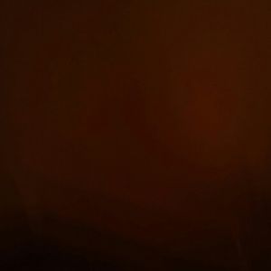 Meet your Posher, Janis