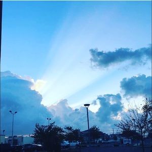 Meet your Posher, Riley