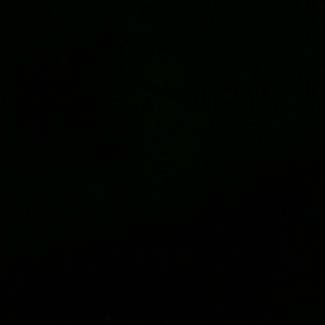 Meet your Posher, Donald