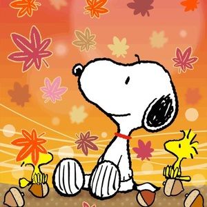 Meet your Posher, Alesha