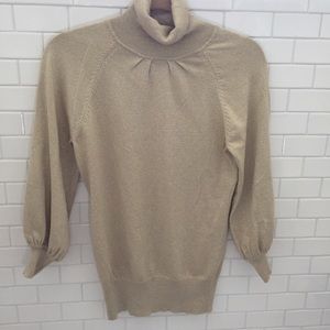 Express Design Studio turtleneck