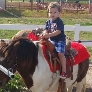 Meet your Posher, Grace