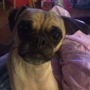 Meet your Posher, Jodie