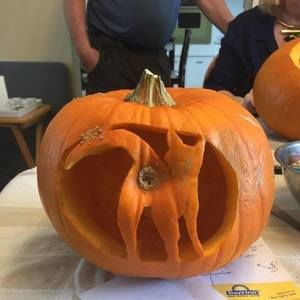 Meet your Posher, Connie