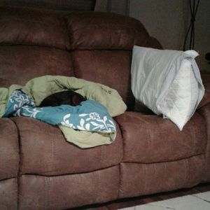 Meet your Posher, Erica