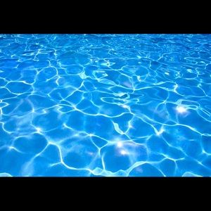 Meet your Posher, Cesar