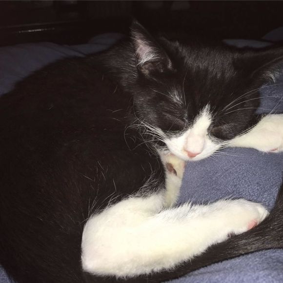 Meet your Posher, Brittiany