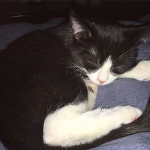 Meet your Posher, Brittiany