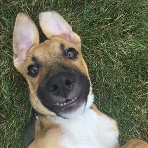 Meet your Posher, Katelyn