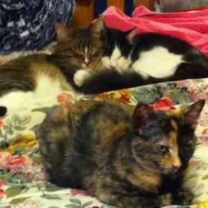 Meet your Posher, Tammy