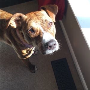 Meet your Posher, Matt