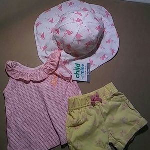 Fun Flamingo Sleeveless shirt and Short Set