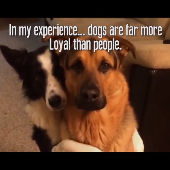 Meet your Posher, Bea - Picture 2 of 4