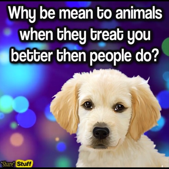 Meet your Posher, Bea - Picture 3 of 4