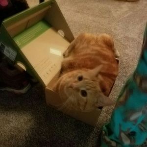 Meet your Posher, Mandy