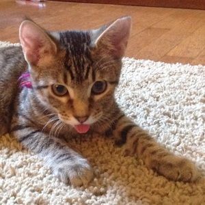 Meet your Posher, Wendy