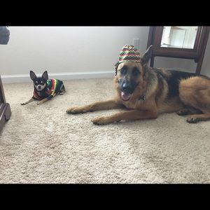 Meet your Posher, Gianna