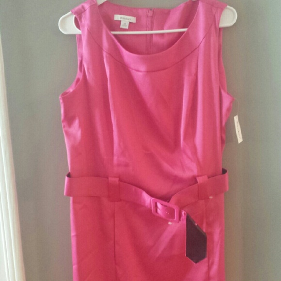 Hot pink dress barn dress. New!