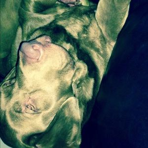 Meet your Posher, Beth