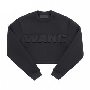 Alexander Wang x H&M