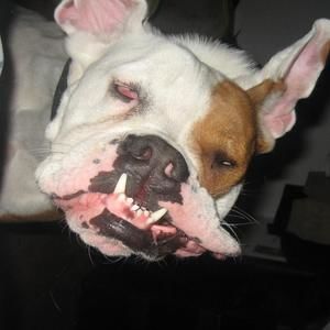 Meet your Posher, Randy