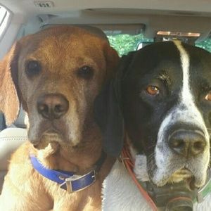 Meet your Posher, Bryna