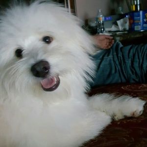 Meet your Posher, Sonia