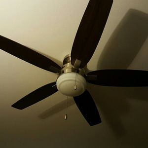 Meet your Posher, Frank