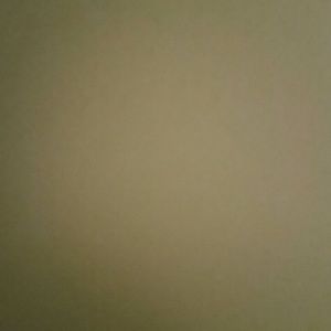 Meet your Posher, Tyson