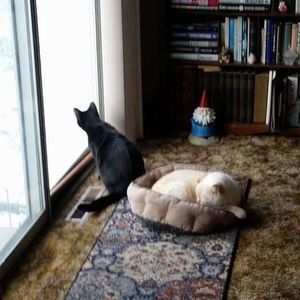 Meet your Posher, Rita