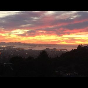 Meet your Posher, Laurelyn