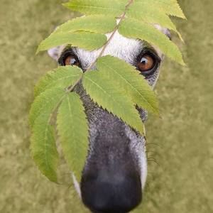 Meet your Posher, Liz