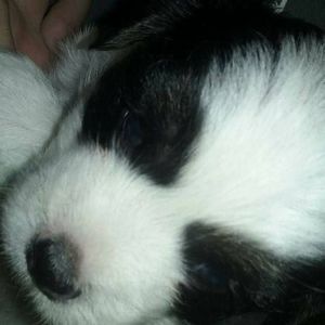 Meet your Posher, Maria a.