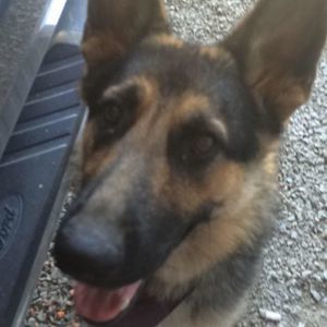 Meet your Posher, Mattye