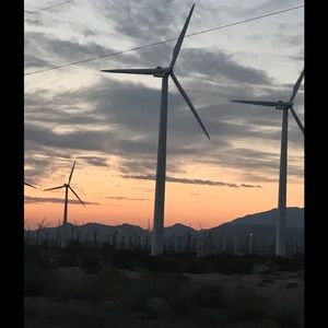 Meet your Posher, Shelley