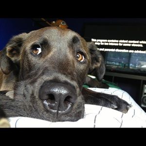 Meet your Posher, Anthony