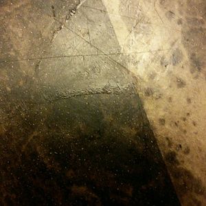 Meet your Posher, Tonya