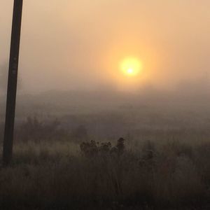 Meet your Posher, Curtisandsarah