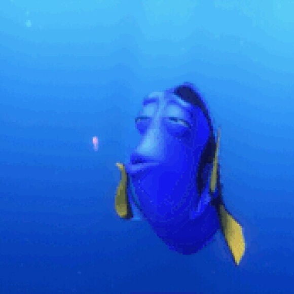 Meet your Posher, Clara