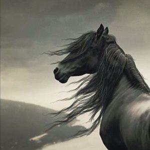 Meet your Posher, Basma