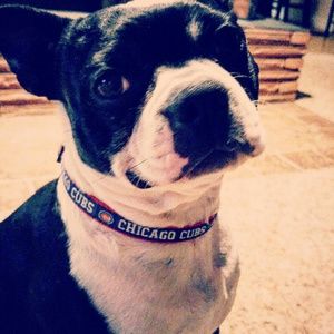 Meet your Posher, Jennifer