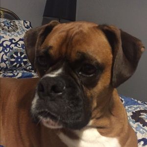 Meet your Posher, Adriana