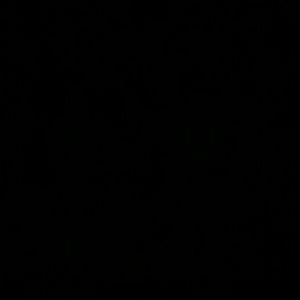 Meet your Posher, Marley